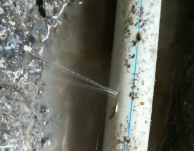 墨江测漏水哪家好