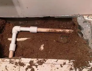 墨江测漏水哪家好