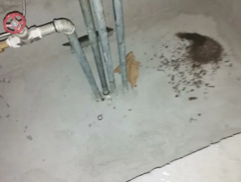 墨江卫生间测漏水价格明细