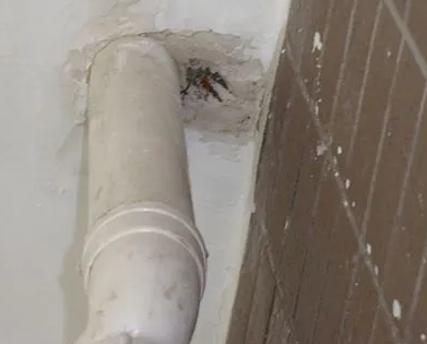 墨江漏水检测哪家好